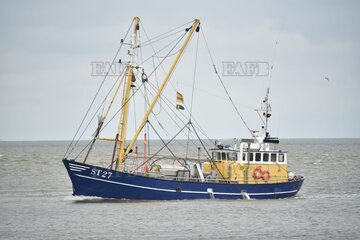 Steel trawler - ST 27 Vanquish - ID:119359